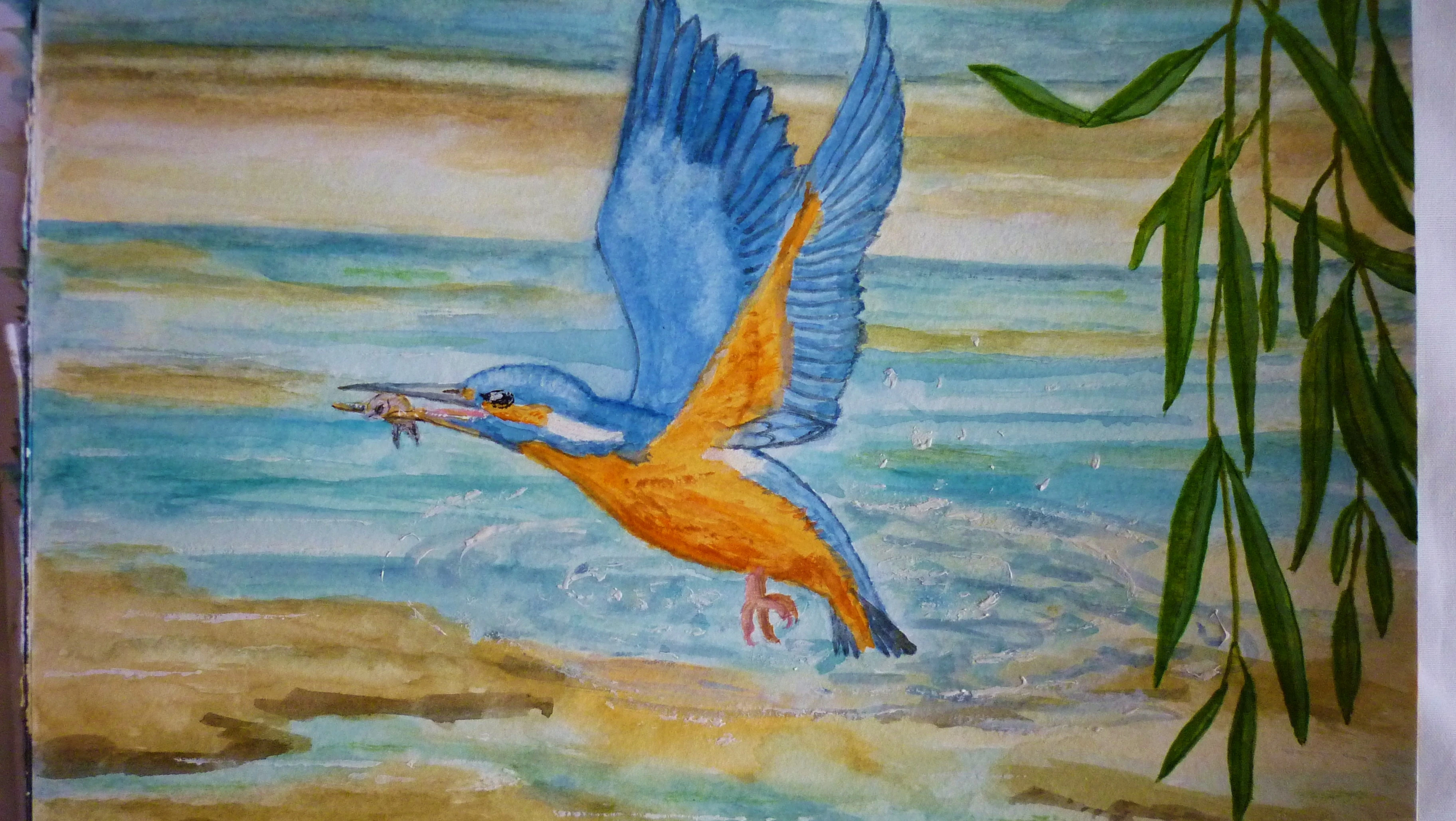 kingfisher